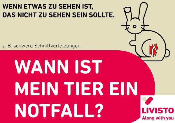 Seminar "Tiergesundheit"
